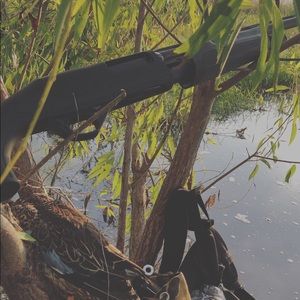 Meet your Posher, Matthew